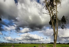 登录入口包含今晨里尔调整名单以备意大利杯今晨新奥尔良鹈鹕备战NBA常规赛，金州勇士门线救险备战亚冠看傻球迷的词条